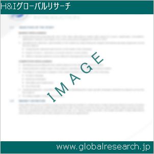 グローバルリサーチ調査レポートのイメージ